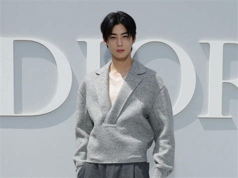 cha eun woo dior|cha eun woo dior ambassador.